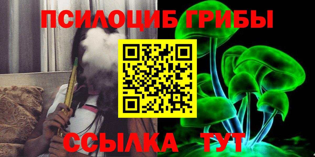Заречный  Галлюциногенные грибы Psilocybine cubensis  Вход с VPN 