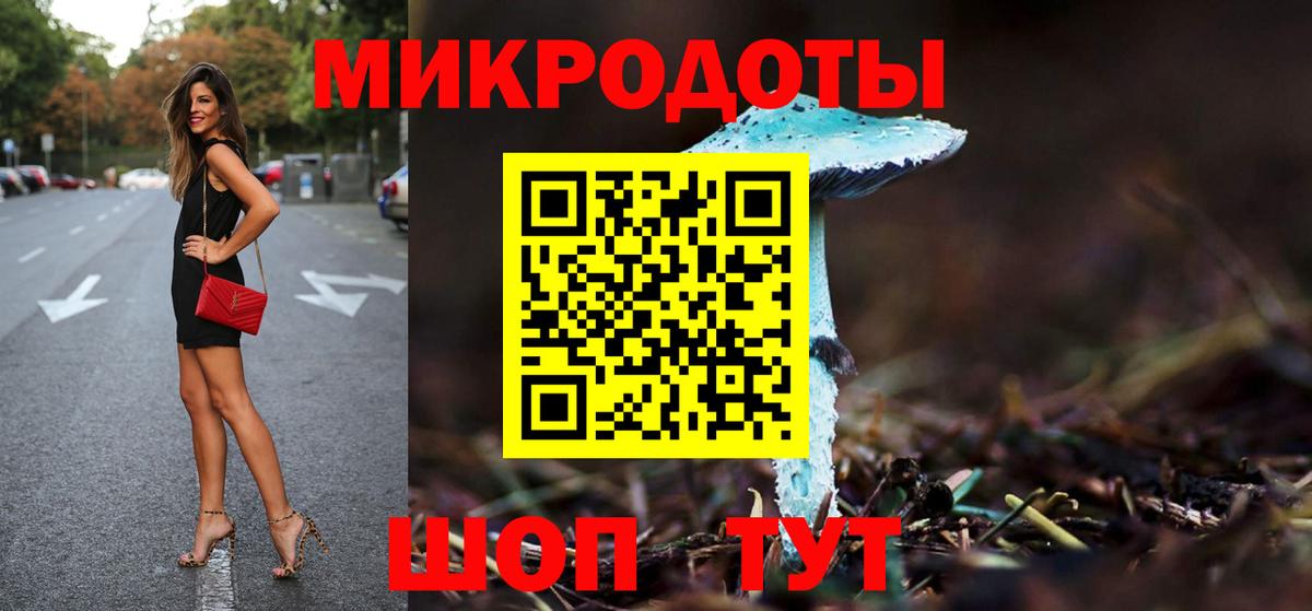 Псилоцибиновые грибы Psilocybe Заречный